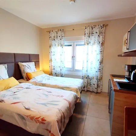 Riverblick Near Frankfurt Lejlighed Hainburg